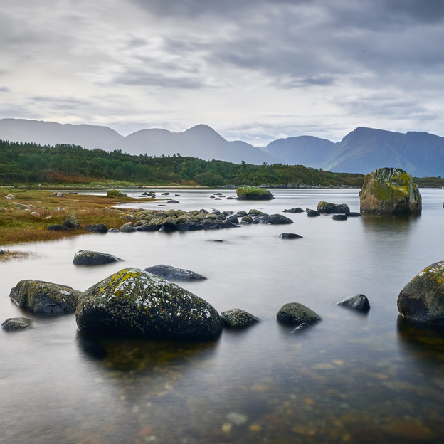 Vurderer du å bestille Norgespris?