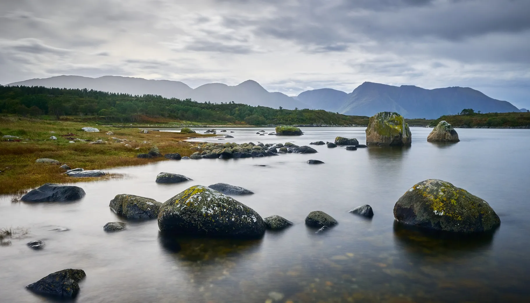 Vurderer du å bestille Norgespris?