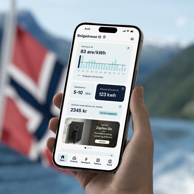 Se Norgespris i appen