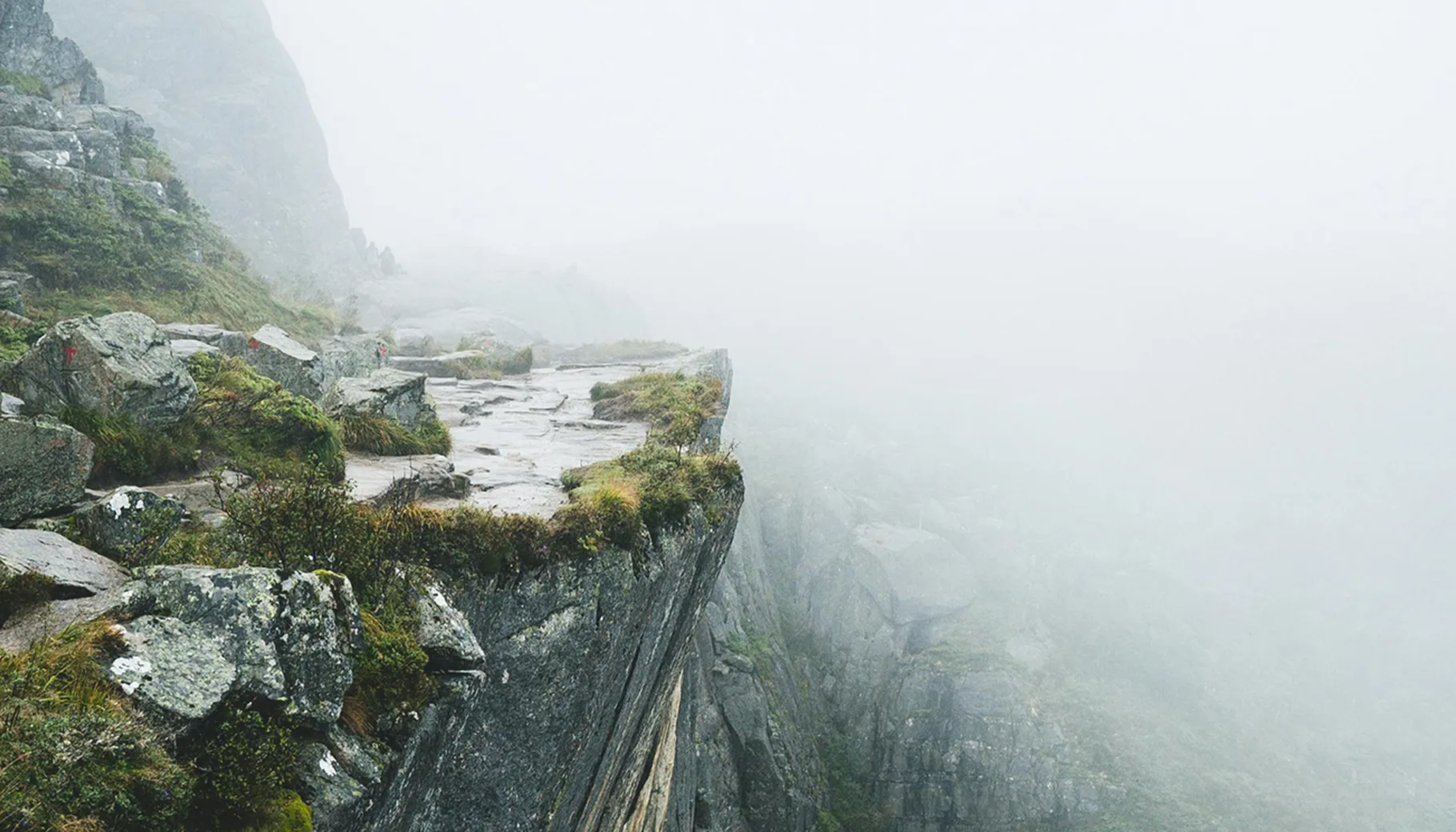 Dette må du vite om vedtatt Norgespris