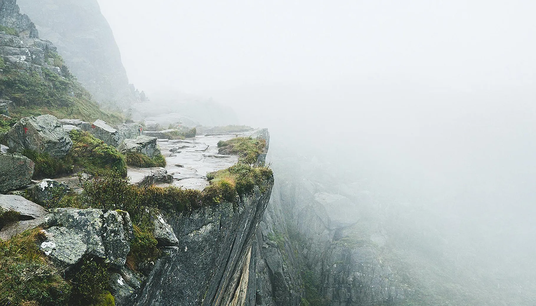 Dette må du vite om vedtatt Norgespris