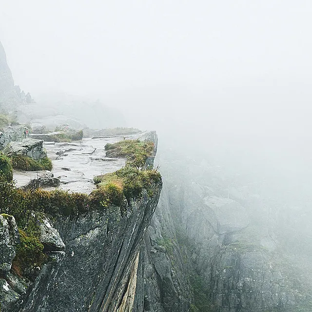 Dette må du vite om vedtatt Norgespris