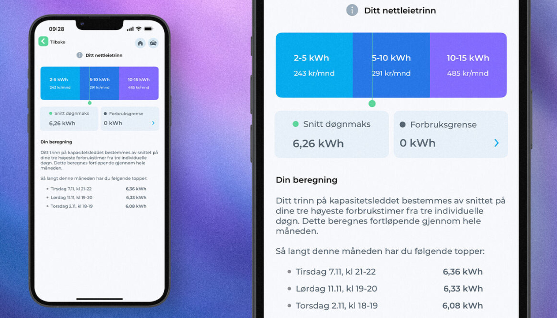 I Istad Appen kan du se hvilket nettleietrinn du ligger på. Ditt trinn bestemmes av snittet på dine tre høyeste forbrukstimer fra tre individuelle døgn.
