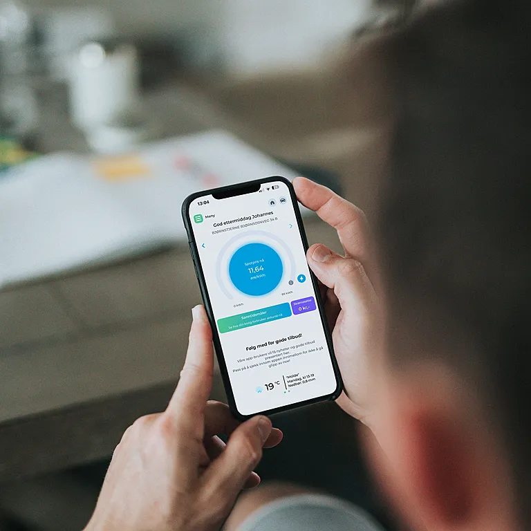 Full oversikt i appen