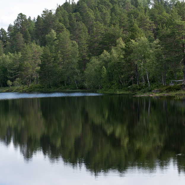 Slik bestiller du Norgespris