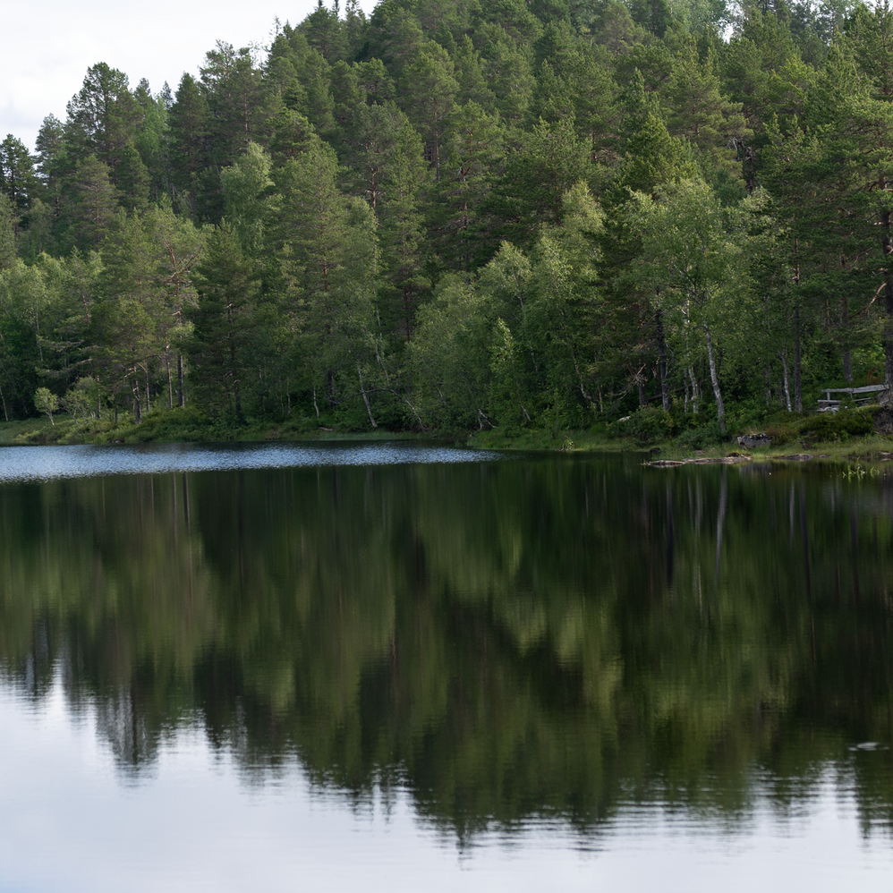 Status på kraftmarkedet juni 2025