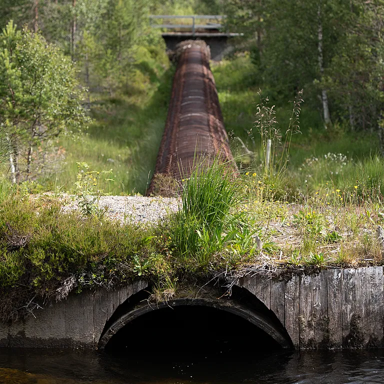 Istad Fornybar Bedrift