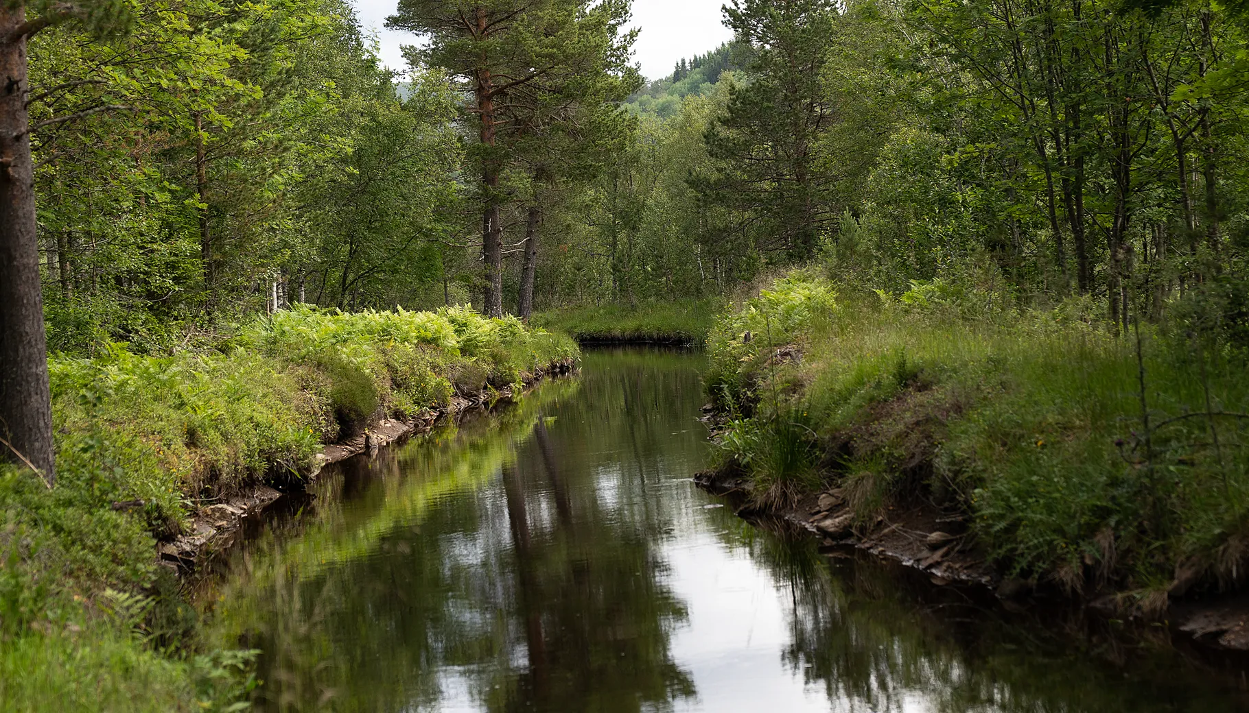 Kraftmarkedet så langt i 2025 Kraftmarkedet så langt i 2025