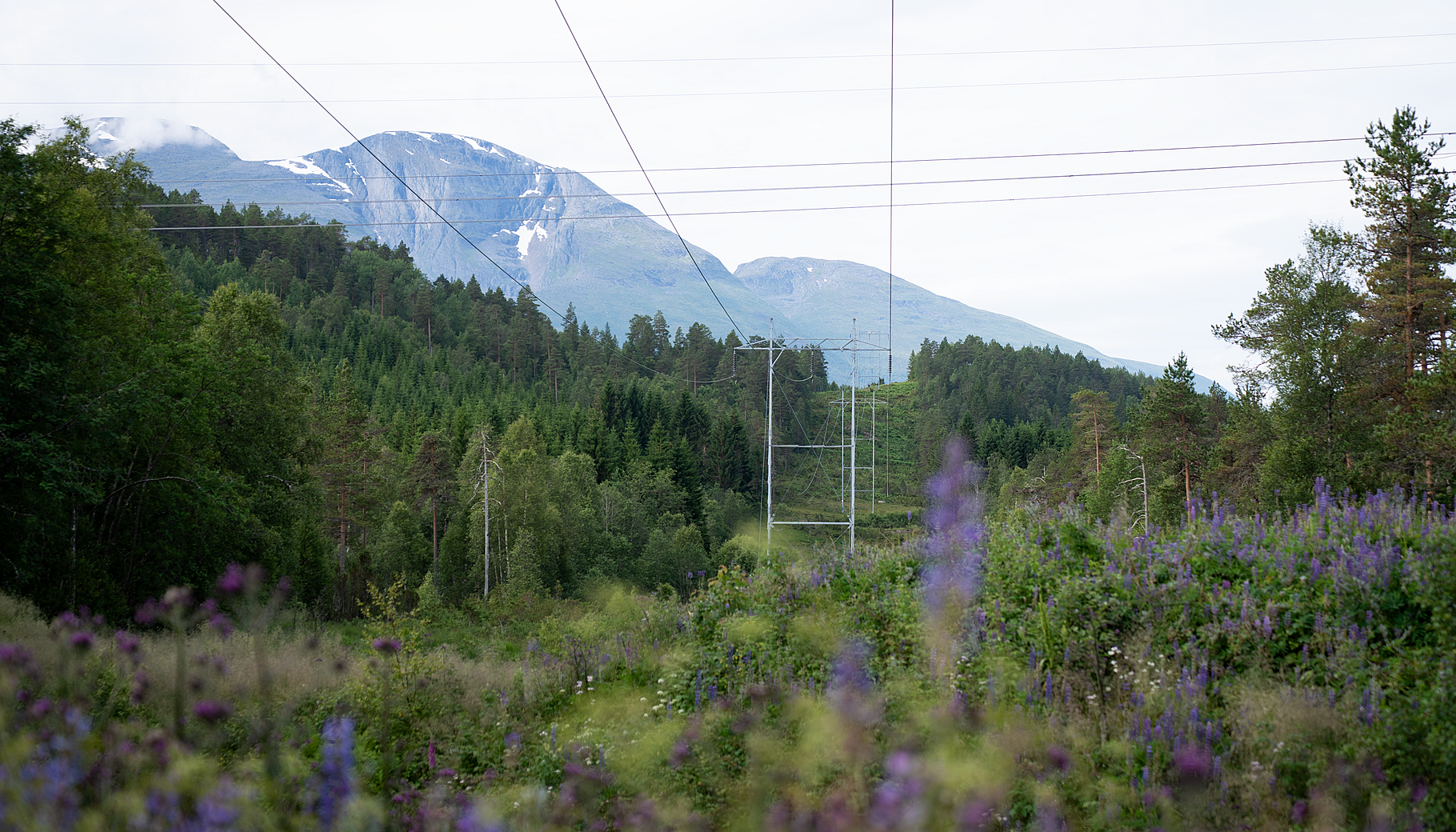 Istadvassdraget DSC05921