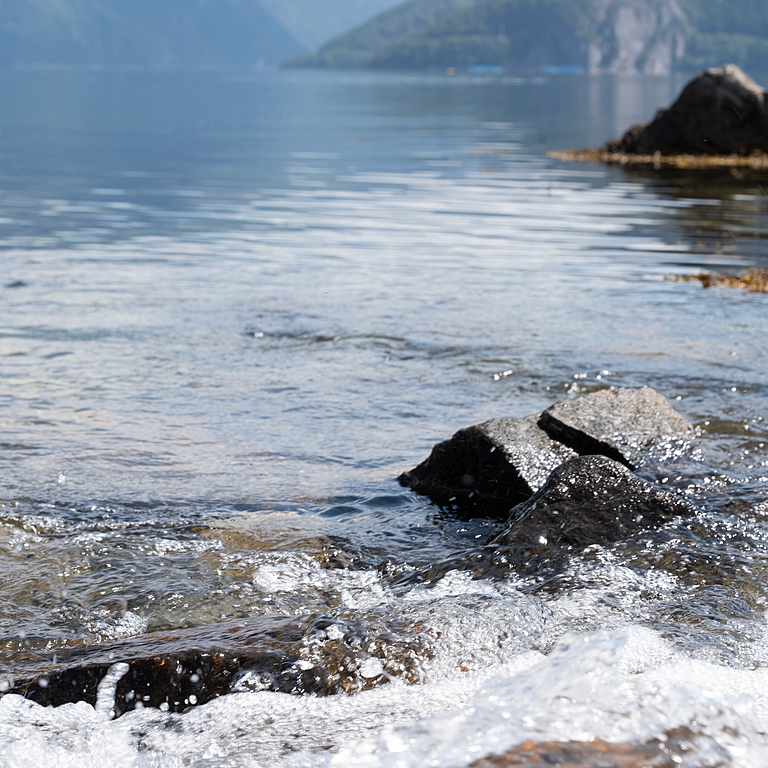 Istad Spot Web Istad Spot Web