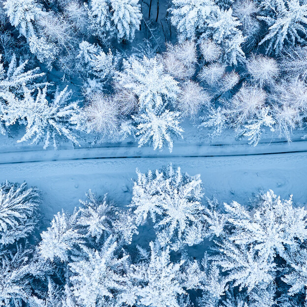 Økt interesse for Norgespris