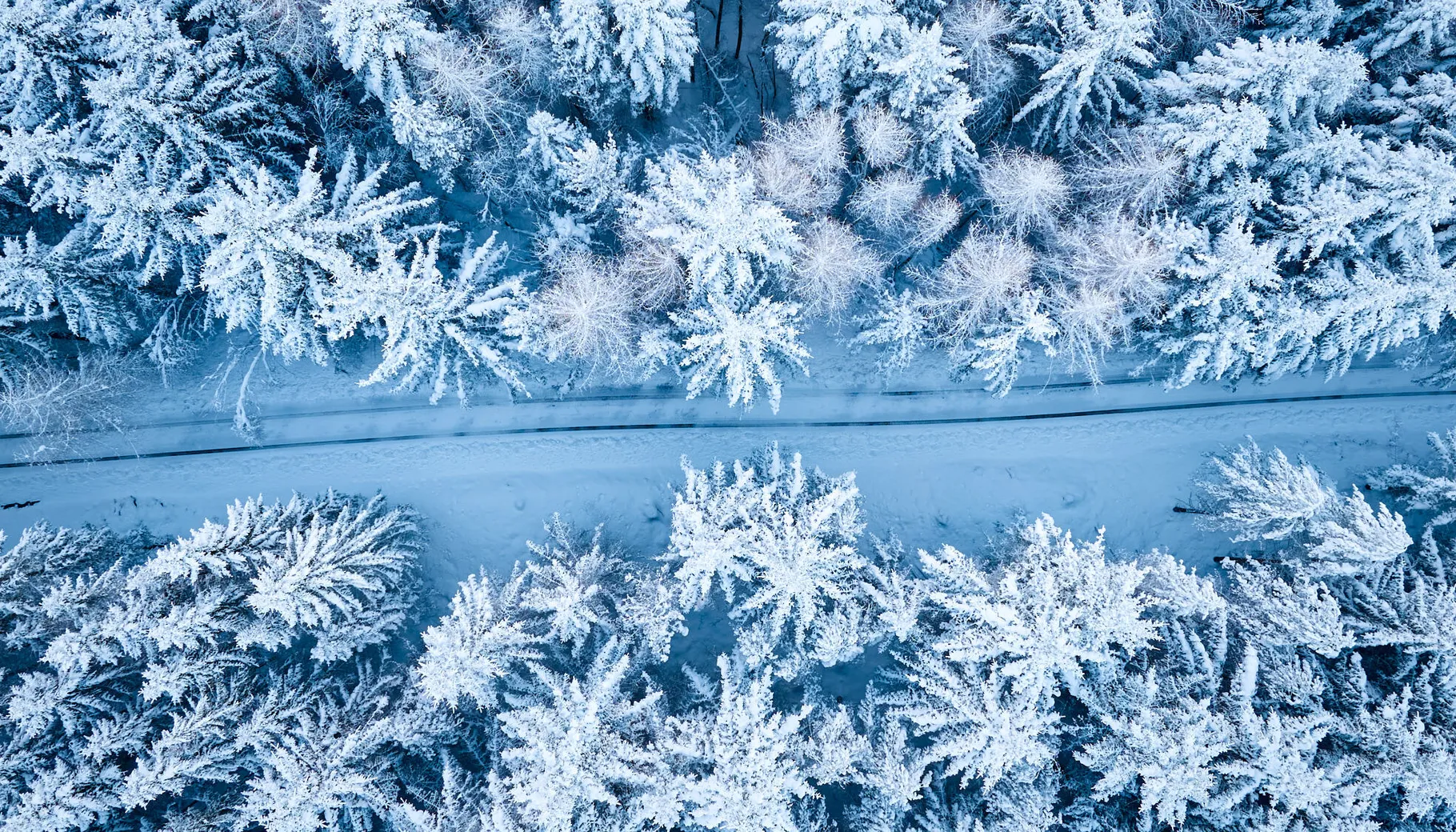 Økt interesse for Norgespris Økt interesse for Norgespris