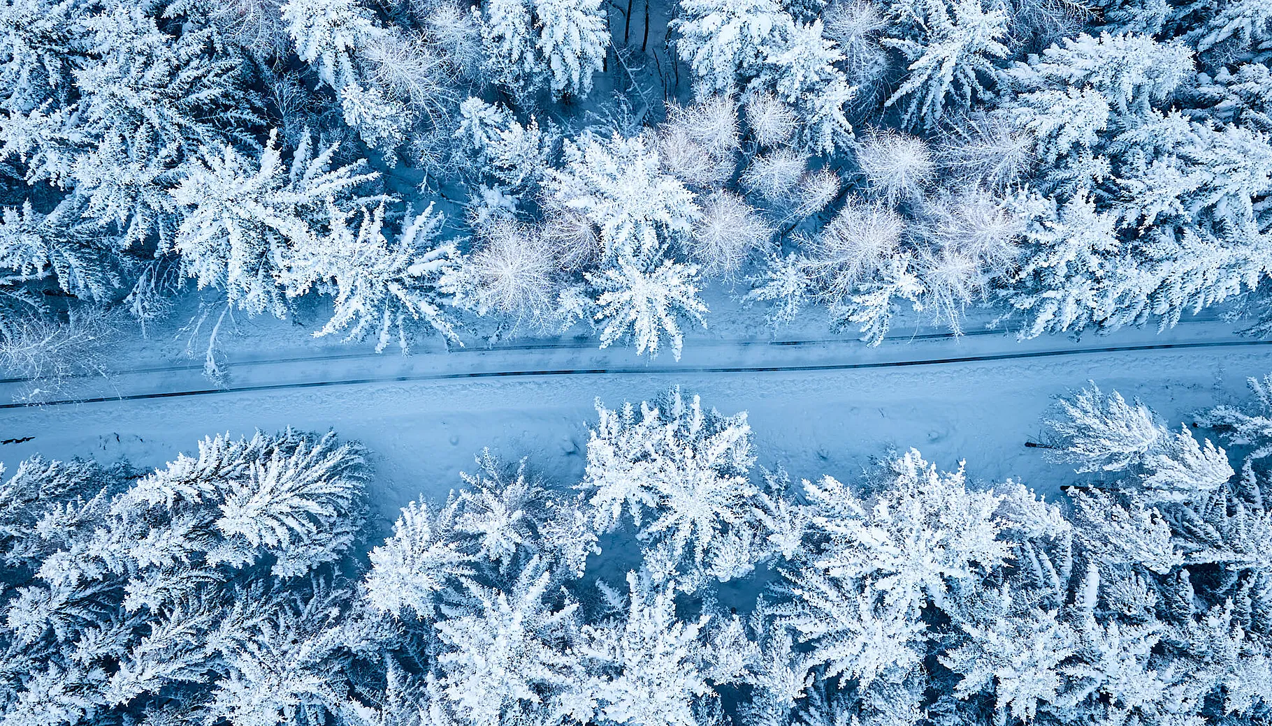 Økt interesse for Norgespris