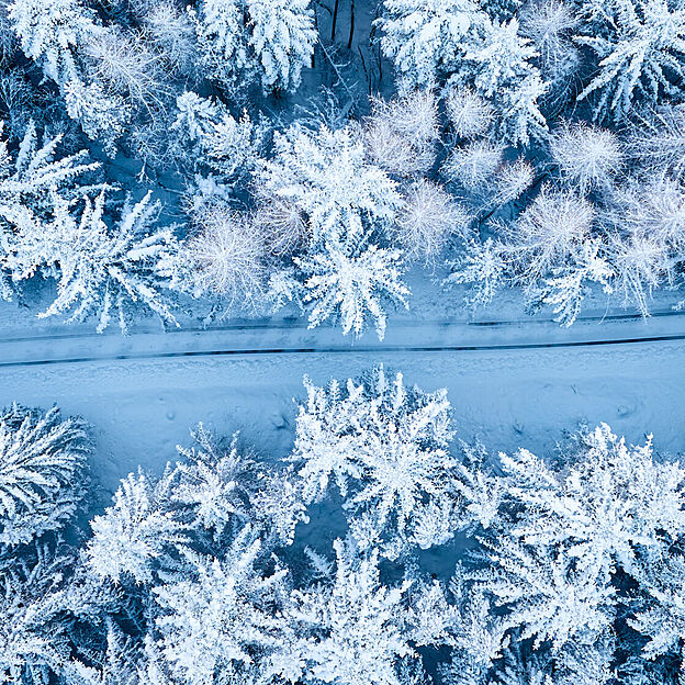 Økt interesse for Norgespris