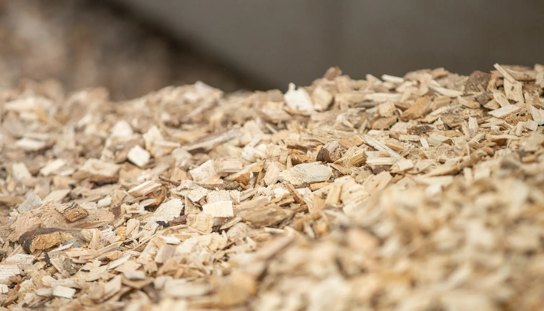 DSC8402 foto jens h lyngstad