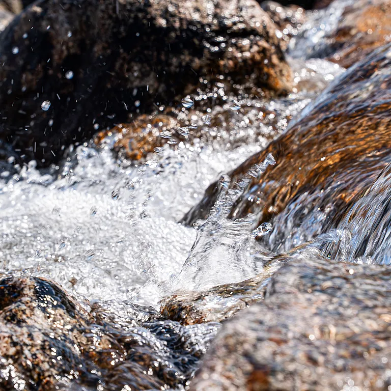 Kraft fra naturen – siden 1919 Kraft fra naturen – siden 1919