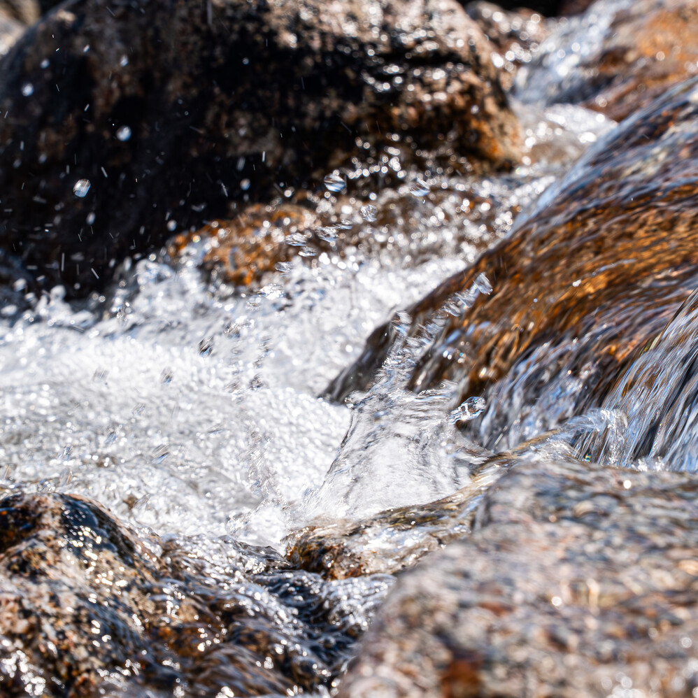 Kraft fra naturen – siden 1919