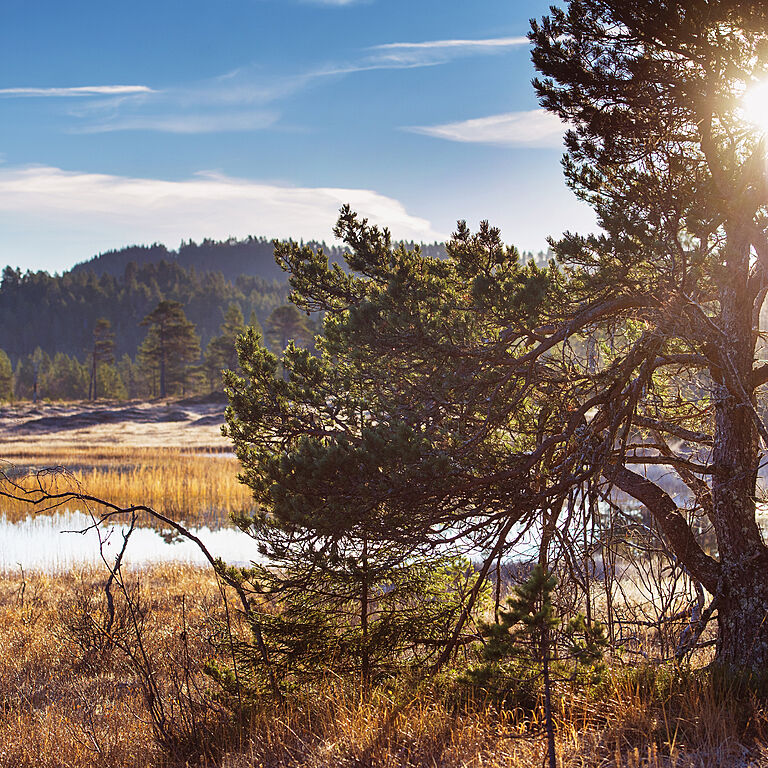 Vi tar bærekraft på alvor