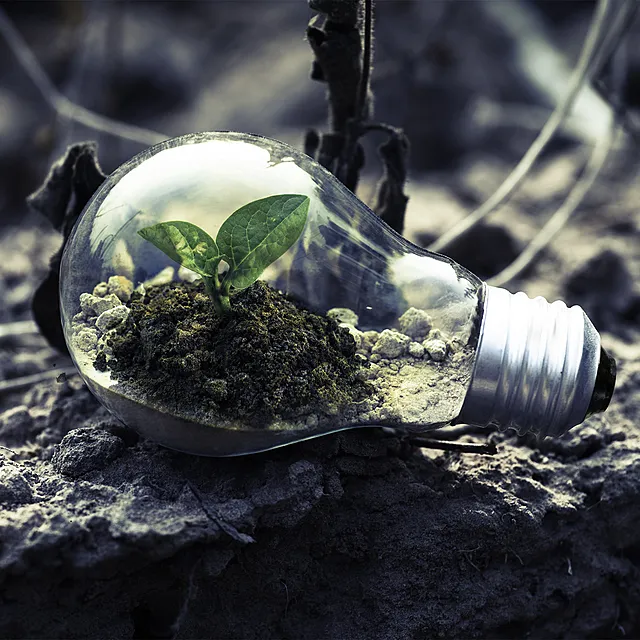 Energinettverk Istad: Det grønne skiftet: Hva betyr det for enkeltpersoner, bedrift og samfunn?