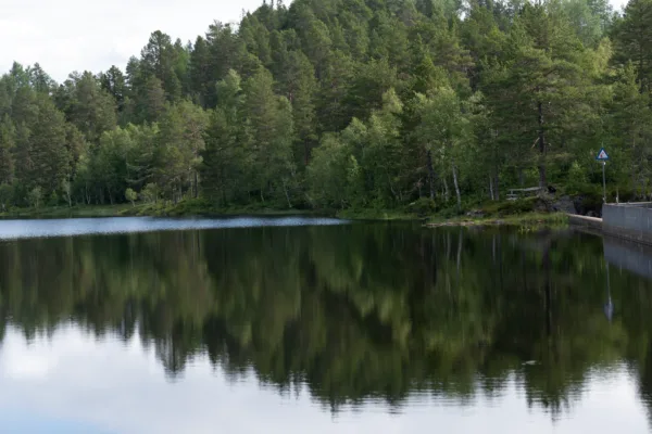 Slik bestiller du Norgespris Slik bestiller du Norgespris