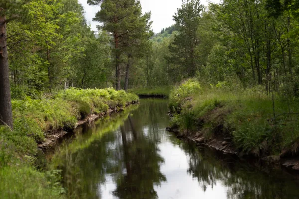 Kraftmarkedet så langt i 2025