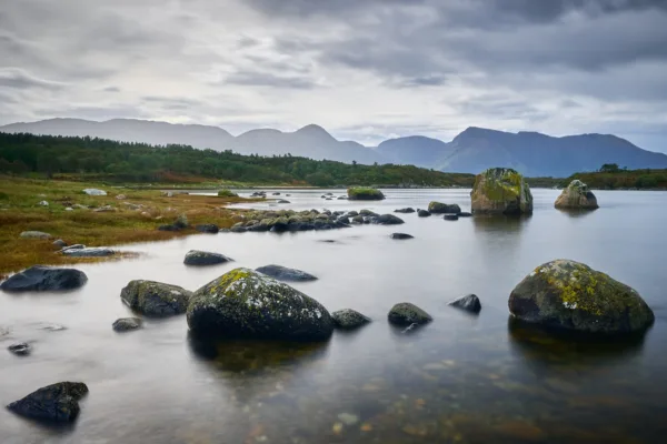 Vurderer du å bestille Norgespris? Vurderer du å bestille Norgespris?