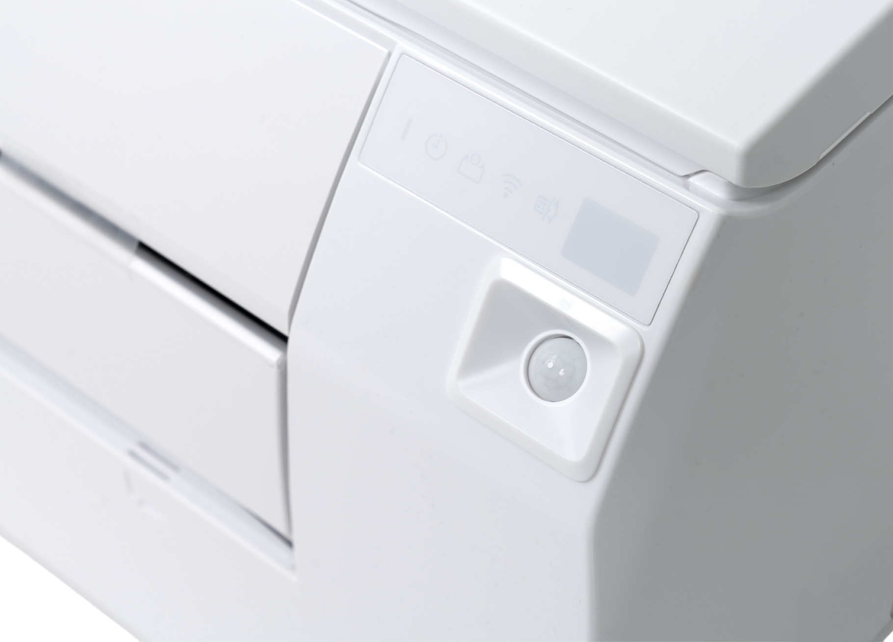 General Råtassen i hvit